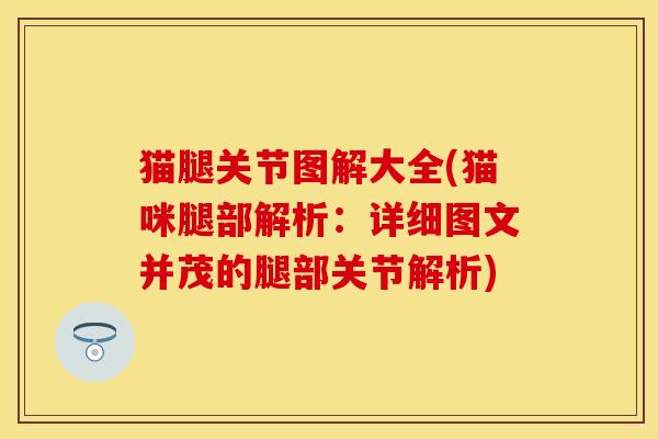 猫腿关节图解大全(猫咪腿部解析：详细图文并茂的腿部关节解析)
