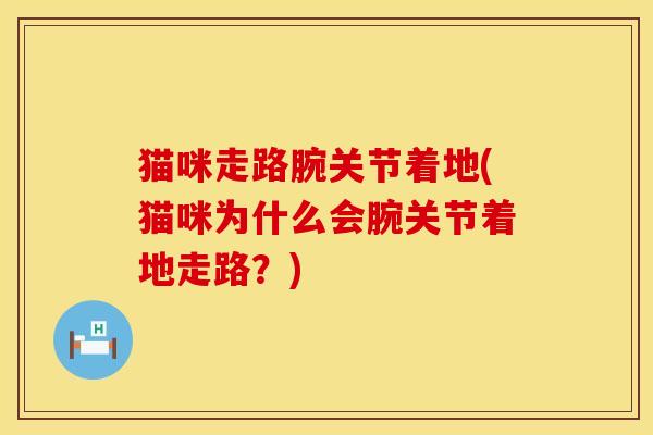 猫咪走路腕关节着地(猫咪为什么会腕关节着地走路？)