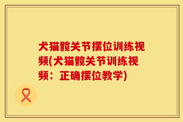 犬猫髋关节摆位训练视频(犬猫髋关节训练视频：正确摆位教学)