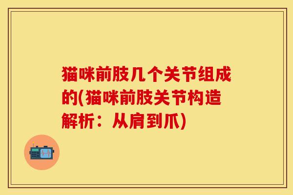 猫咪前肢几个关节组成的(猫咪前肢关节构造解析：从肩到爪)