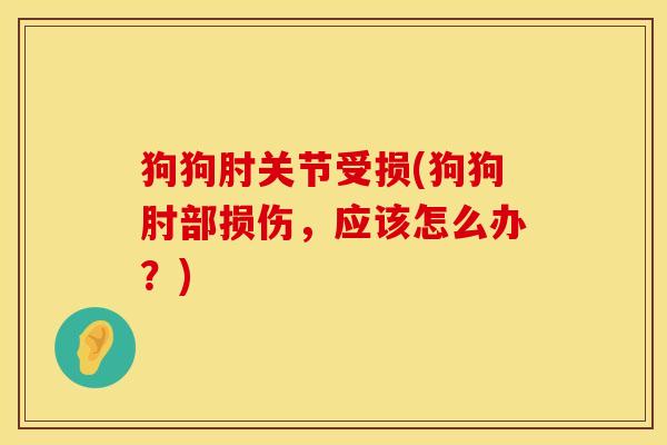 狗狗肘关节受损(狗狗肘部损伤，应该怎么办？)