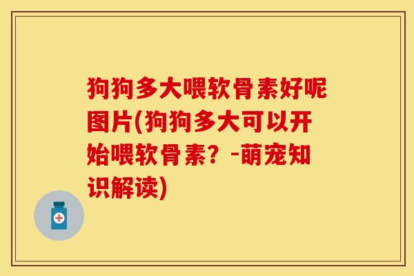 狗狗多大喂软骨素好呢图片(狗狗多大可以开始喂软骨素？-萌宠知识解读)