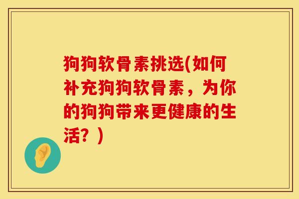 狗狗软骨素挑选(如何补充狗狗软骨素，为你的狗狗带来更健康的生活？)