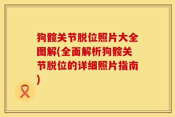 狗髋关节脱位照片大全图解(全面解析狗髋关节脱位的详细照片指南)