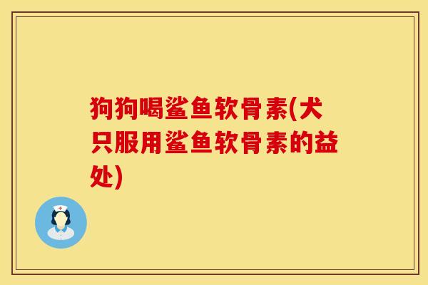 狗狗喝鲨鱼软骨素(犬只服用鲨鱼软骨素的益处) 狗狗喝鲨鱼软骨素(犬只服用鲨鱼软骨素的益处)