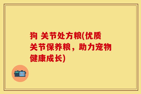 狗 关节处方粮(优质关节保养粮，助力宠物健康成长)