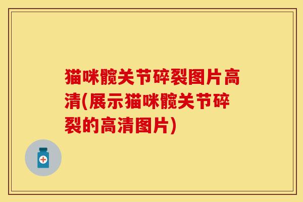 猫咪髋关节碎裂图片高清(展示猫咪髋关节碎裂的高清图片)