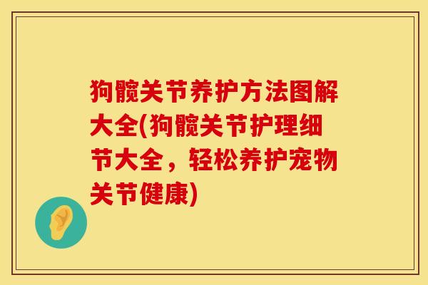 狗髋关节养护方法图解大全(狗髋关节护理细节大全，轻松养护宠物关节健康)