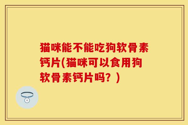 猫咪能不能吃狗软骨素钙片(猫咪可以食用狗软骨素钙片吗？)