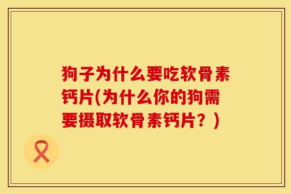 狗子为什么要吃软骨素钙片(为什么你的狗需要摄取软骨素钙片？)