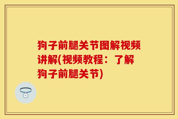 狗子前腿关节图解视频讲解(视频教程：了解狗子前腿关节)
