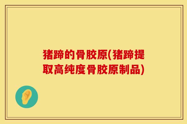 猪蹄的骨胶原(猪蹄提取高纯度骨胶原制品)