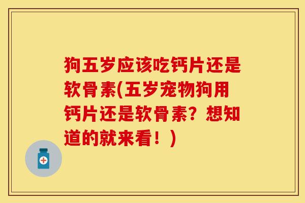 狗五岁应该吃钙片还是软骨素(五岁宠物狗用钙片还是软骨素？想知道的就来看！)