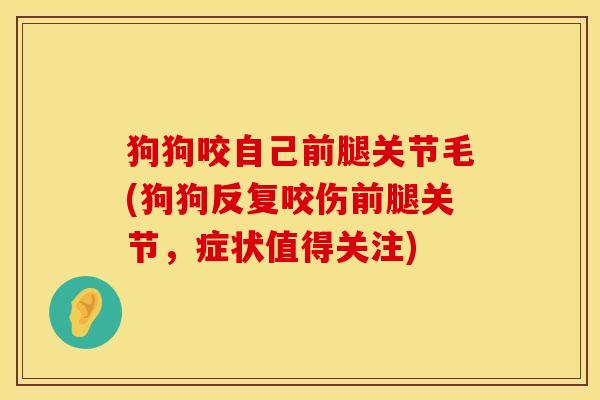 狗狗咬自己前腿关节毛(狗狗反复咬伤前腿关节，症状值得关注)