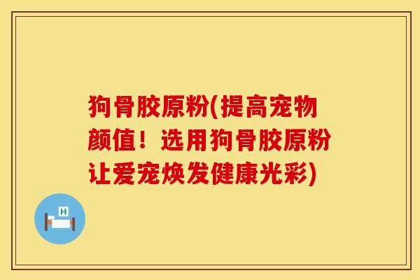 狗骨胶原粉(提高宠物颜值！选用狗骨胶原粉让爱宠焕发健康光彩)