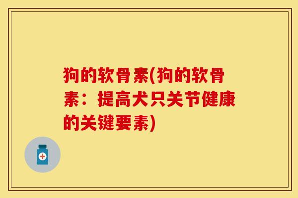 狗的软骨素(狗的软骨素：提高犬只关节健康的关键要素)