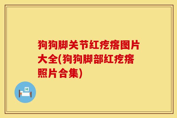 狗狗脚关节红疙瘩图片大全(狗狗脚部红疙瘩照片合集)