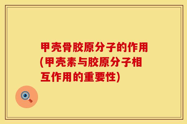 甲壳骨胶原分子的作用(甲壳素与胶原分子相互作用的重要性)