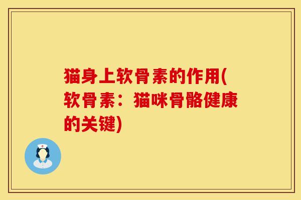 猫身上软骨素的作用(软骨素：猫咪骨骼健康的关键)