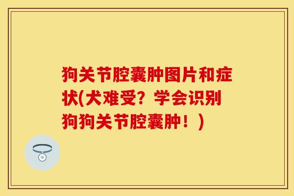 狗关节腔囊肿图片和症状(犬难受？学会识别狗狗关节腔囊肿！)