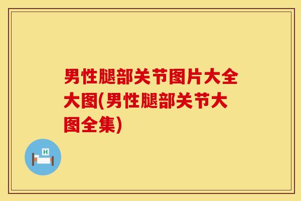 男性腿部关节图片大全大图(男性腿部关节大图全集)