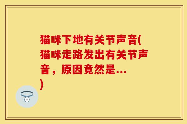 猫咪下地有关节声音(猫咪走路发出有关节声音，原因竟然是...)