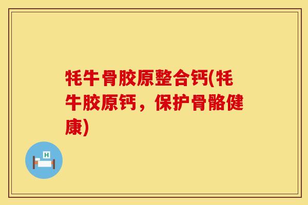牦牛骨胶原整合钙(牦牛胶原钙，保护骨骼健康)