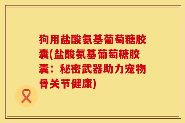 狗用盐酸氨基葡萄糖胶囊(盐酸氨基葡萄糖胶囊：秘密武器助力宠物骨关节健康)