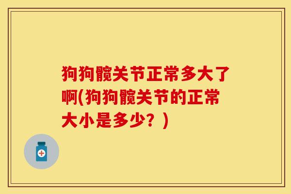 狗狗髋关节正常多大了啊(狗狗髋关节的正常大小是多少？)