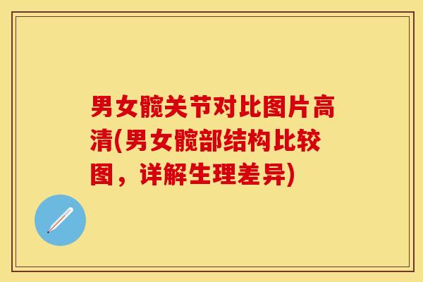 男女髋关节对比图片高清(男女髋部结构比较图，详解生理差异)