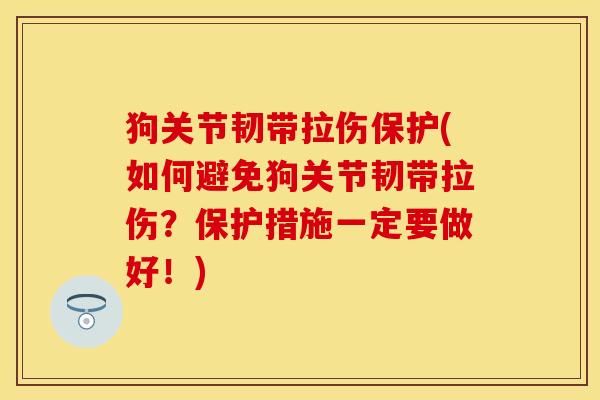 狗关节韧带拉伤保护(如何避免狗关节韧带拉伤？保护措施一定要做好！)