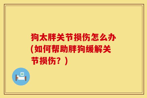 狗太胖关节损伤怎么办(如何帮助胖狗缓解关节损伤？)