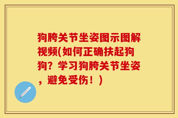狗胯关节坐姿图示图解视频(如何正确扶起狗狗？学习狗胯关节坐姿，避免受伤！)