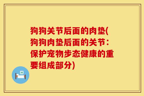 狗狗关节后面的肉垫(狗狗肉垫后面的关节：保护宠物步态健康的重要组成部分)