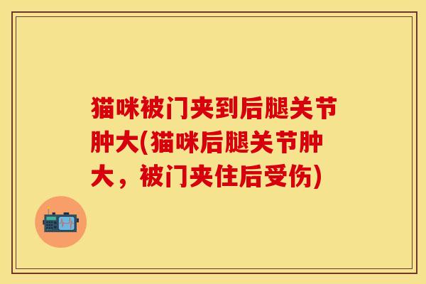 猫咪被门夹到后腿关节肿大(猫咪后腿关节肿大，被门夹住后受伤)
