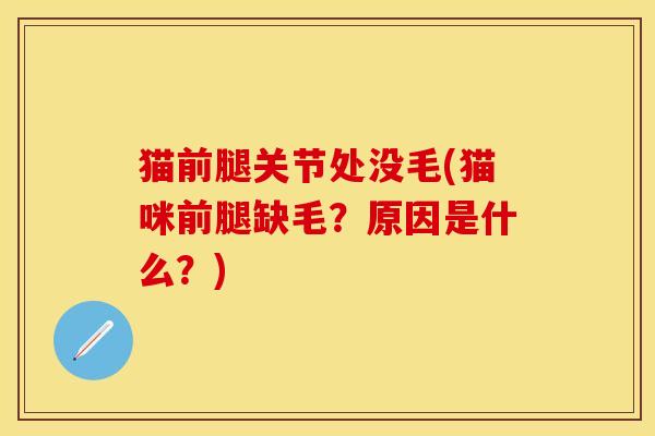 猫前腿关节处没毛(猫咪前腿缺毛？原因是什么？)