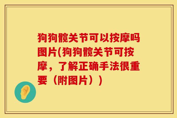 狗狗髋关节可以按摩吗图片(狗狗髋关节可按摩，了解正确手法很重要（附图片）)