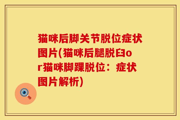 猫咪后脚关节脱位症状图片(猫咪后腿脱臼or猫咪脚踝脱位：症状图片解析)