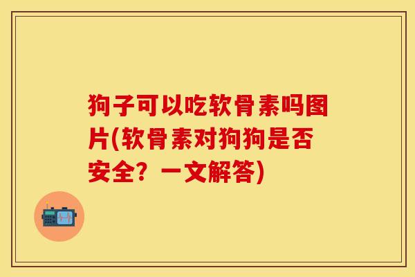 狗子可以吃软骨素吗图片(软骨素对狗狗是否安全?一文解答) 狗子可以吃软骨素吗图片(软骨素对狗狗是否安全?一文解答)