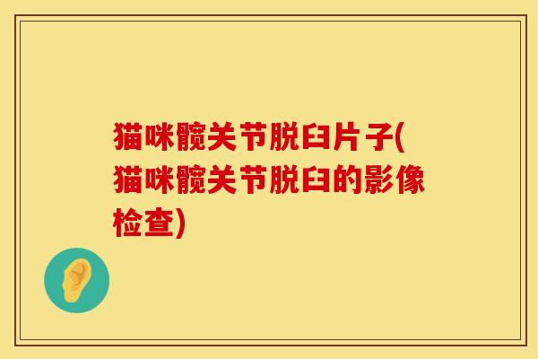 猫咪髋关节脱臼片子(猫咪髋关节脱臼的影像检查)