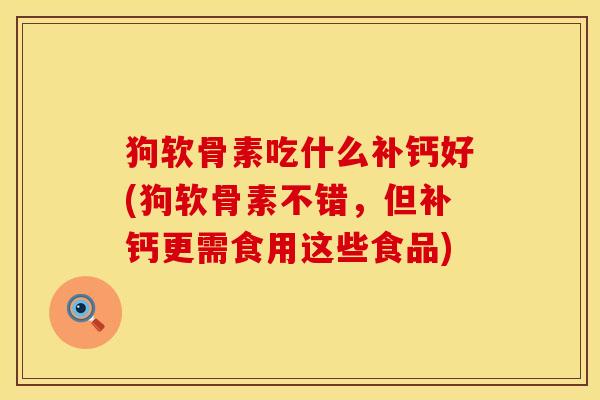 狗软骨素吃什么补钙好(狗软骨素不错，但补钙更需食用这些食品)