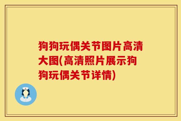 狗狗玩偶关节图片高清大图(高清照片展示狗狗玩偶关节详情)