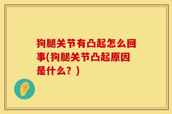 狗腿关节有凸起怎么回事(狗腿关节凸起原因是什么？)