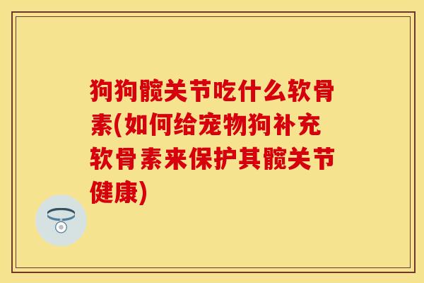 狗狗髋关节吃什么软骨素(如何给宠物狗补充软骨素来保护其髋关节健康)