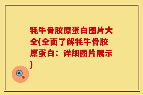 牦牛骨胶原蛋白图片大全(全面了解牦牛骨胶原蛋白：详细图片展示)
