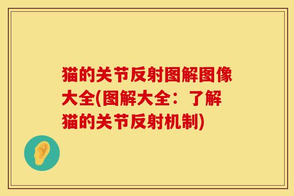 猫的关节反射图解图像大全(图解大全：了解猫的关节反射机制)