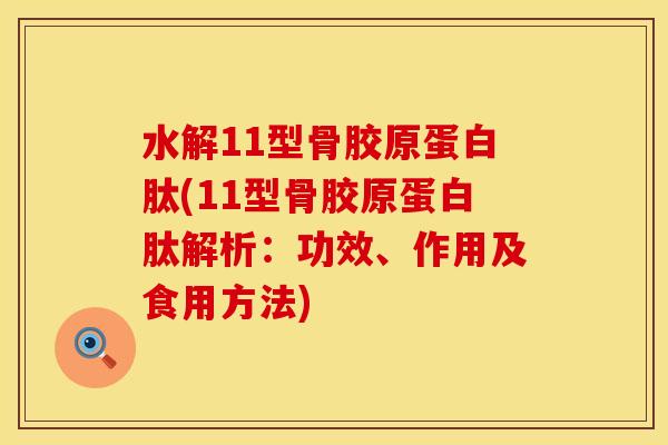 水解11型骨胶原蛋白肽(11型骨胶原蛋白肽解析：功效、作用及食用方法)