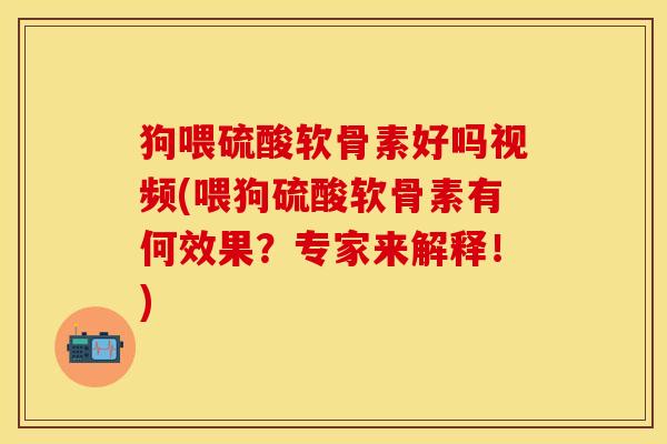 狗喂硫酸软骨素好吗视频(喂狗硫酸软骨素有何效果？专家来解释！)
