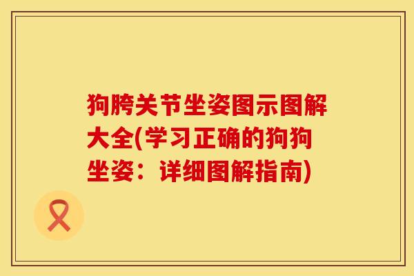 狗胯关节坐姿图示图解大全(学习正确的狗狗坐姿：详细图解指南)