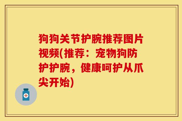 狗狗关节护腕推荐图片视频(推荐：宠物狗防护护腕，健康呵护从爪尖开始)